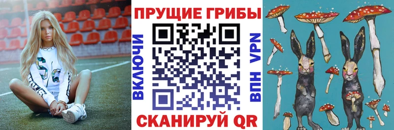 Псилоцибиновые грибы ЛСД  дарнет шоп  Заволжск 